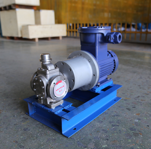 圓弧齒輪泵YCB10-1.6整機、配磁力聯(lián)軸器.JPG